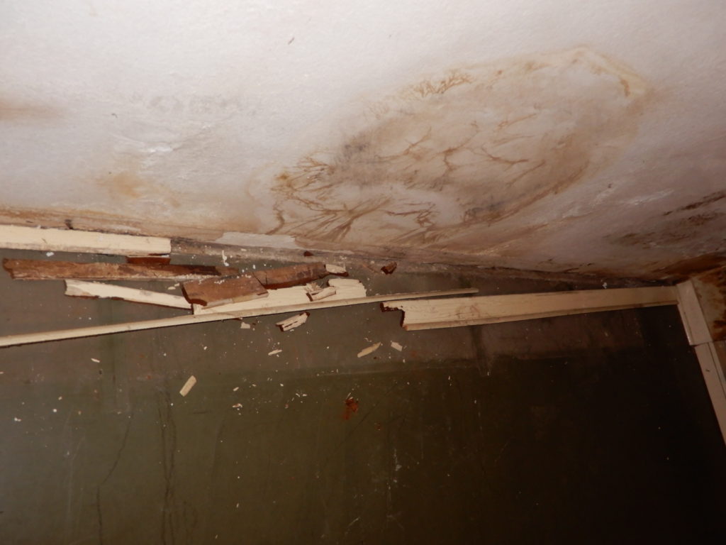 2 Ursachen Fur Schimmel In Der Souterrainwohnung Erklart