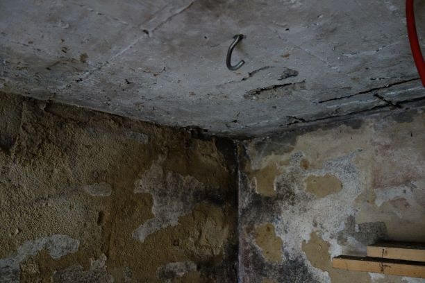 Schimmel in der Garage