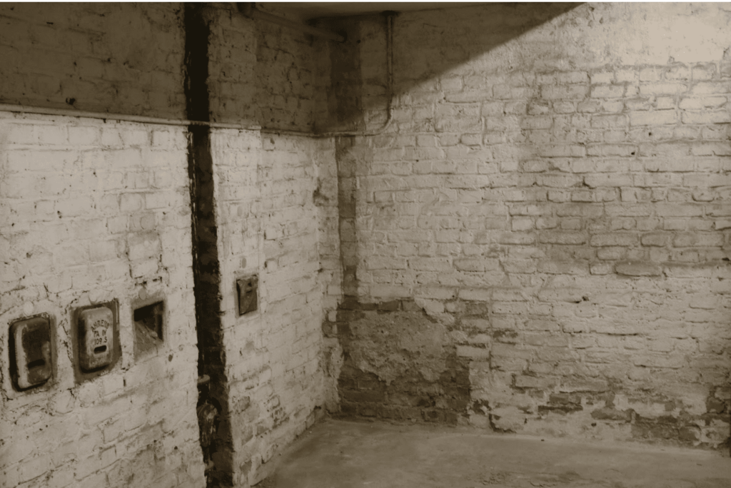 Wärmepumpe Sanierung - Feuchter Keller (1)