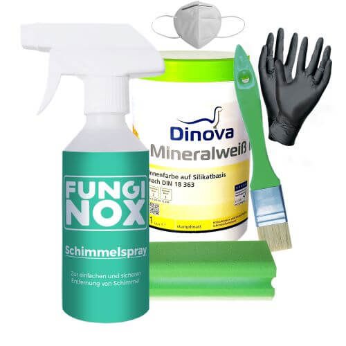 FungiNox Schimmelentferner